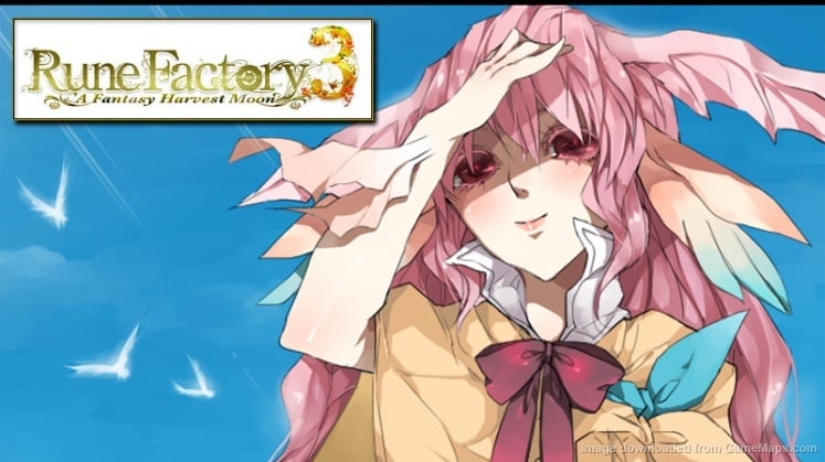 How To Make Cookies Rune Factory 4