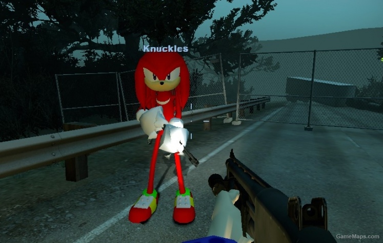 Knuckles the Echidna (Coach) (Left 4 Dead 2) - GameMaps