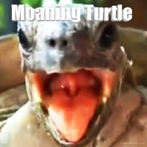 Turtles Moaning for Jockey (Mod) for Left 4 Dead 2 - GameMaps.com