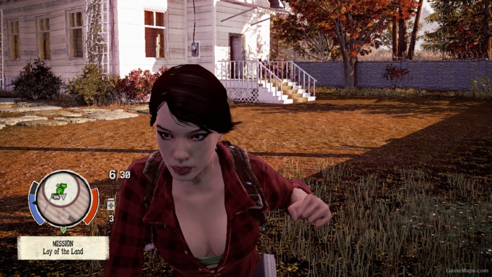 State of Decay Mods