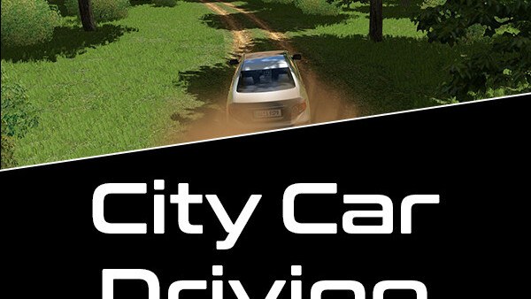 City Car Driving on Steam