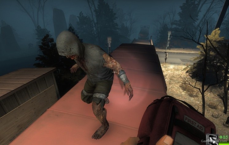 left 4 dead 2 special infected before infection
