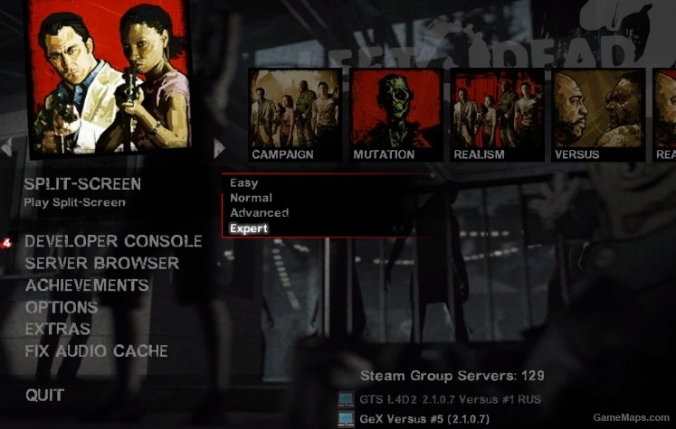 how to play l4d2 split screen pc